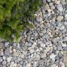 Alpine pebbles garden