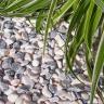 Frozen Pink pebbles 14/25 garden