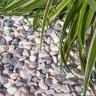 Frozen Pink pebbles 14/25 garden