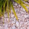 rosa milano chippings 14/20 garden