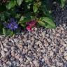 Belgian Red Pebbles 8/16 mm garden