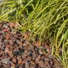 Scottish Granite chippings