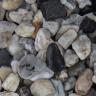 White pebbles 16/32 (wet)