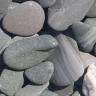  Flat pebbles Grün nass