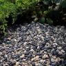 Natural Blend Pebbles 5/8mm