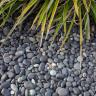 Beach pebbles noir galets