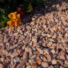 Rosso Verona Pebbles 8/16mm garden