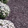 flat pebbles paars siertuin